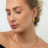 Roccia Earsticks