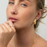 Roccia Earsticks