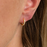 Lucca Hoops 11MM